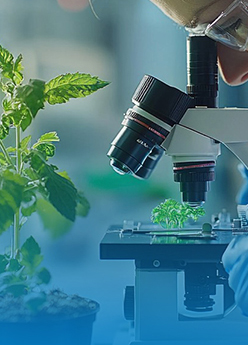  软包装涂层乳液